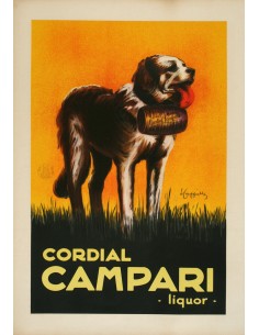 Cordial Campari - St Bernard